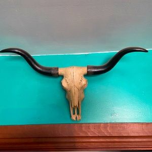 Longhorn skull home decor